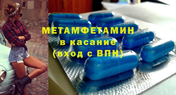 сатива Ельня