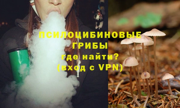 гидропоника Заводоуковск